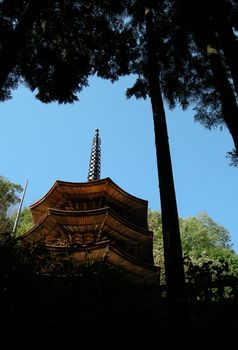 DSCN5559.JPG