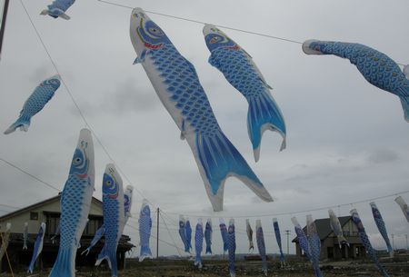 DSCN6172.JPG