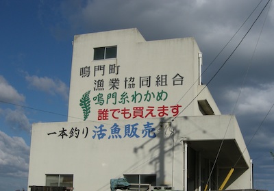DSCN6829 のコピー.jpg
