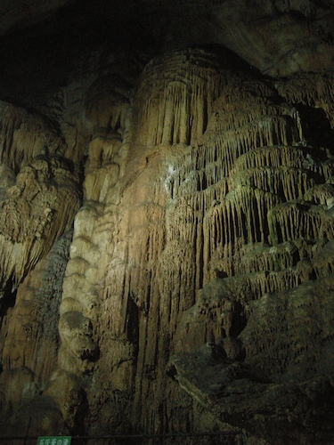 DSCN9303.JPG